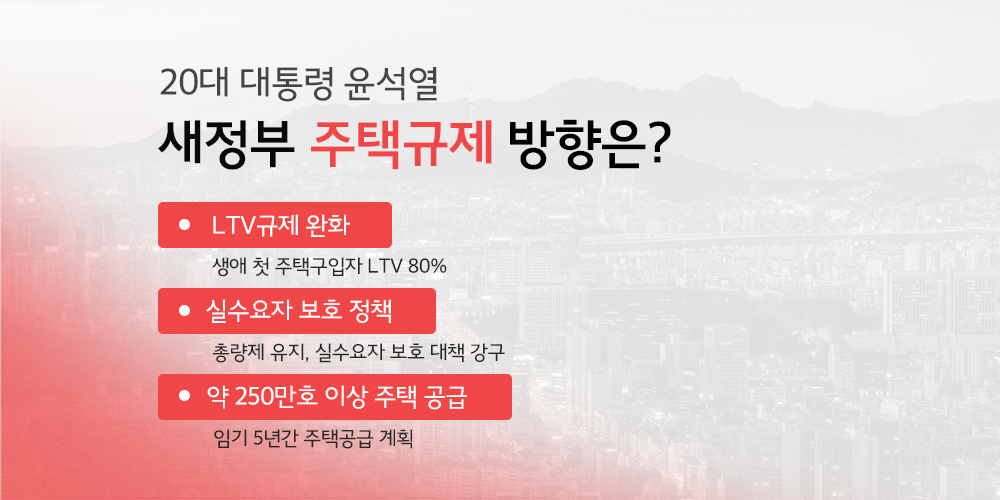 정책