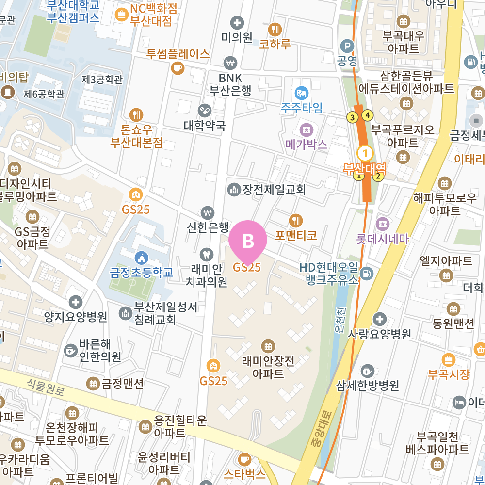 장전 지도
